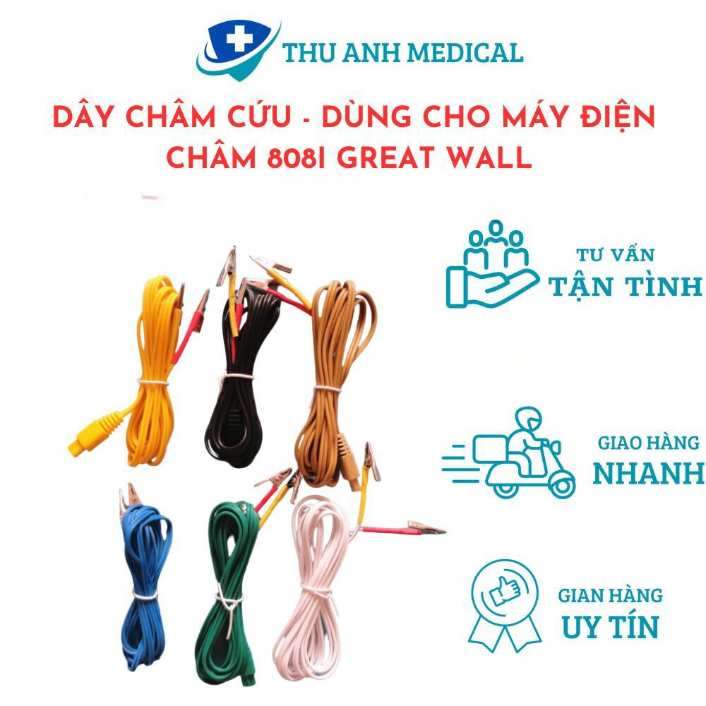 Dây châm cứu 2 kim - dùng cho máy điện châm 808i great wall