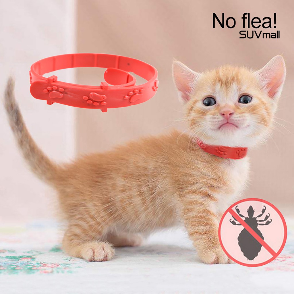 Vòng đeo cổ chống bọ chét bằng silicone cho thú cưng
