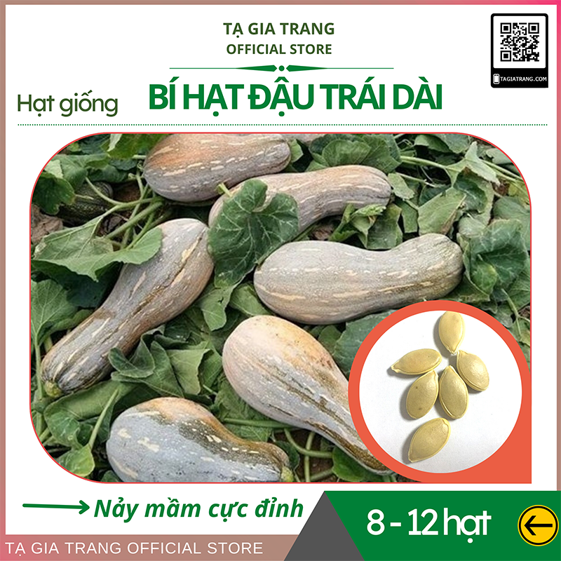 Hạt giống bí hạt đậu quả dài F1