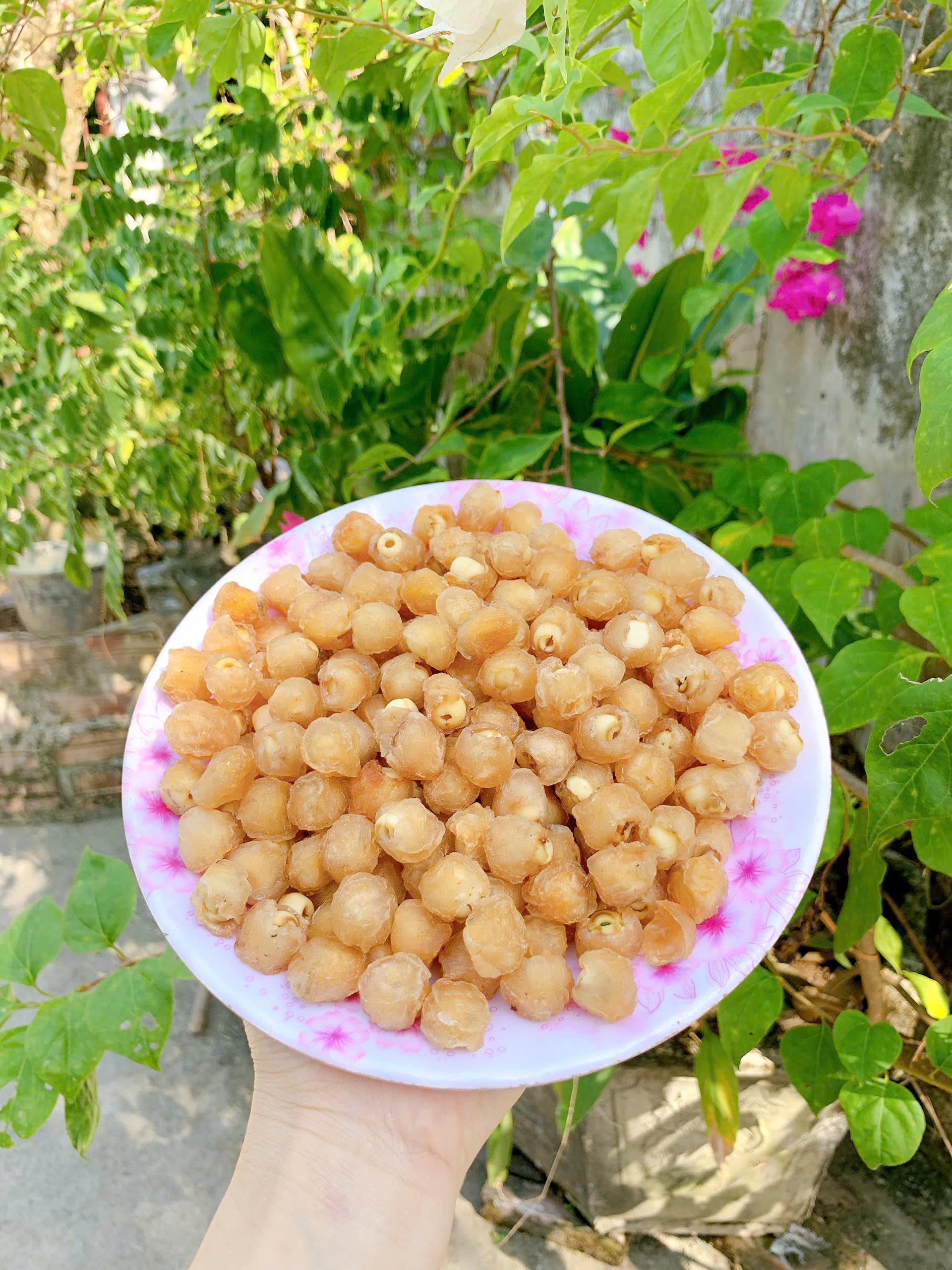[THƯỢNG HẠNG] Long Nhãn Ôm Sen 1Kg Sấy Khô Hưng Yên Thơm Ngon Ngọt Bùi