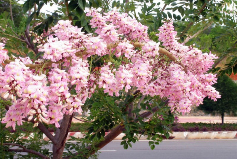 yvRAJx6GkEAxAN9GWyMN_simg_d0daf0_800x1200_max.jpg