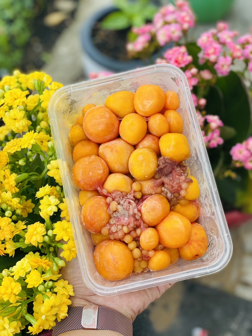 Giá sỉ 1kg trứng gà non