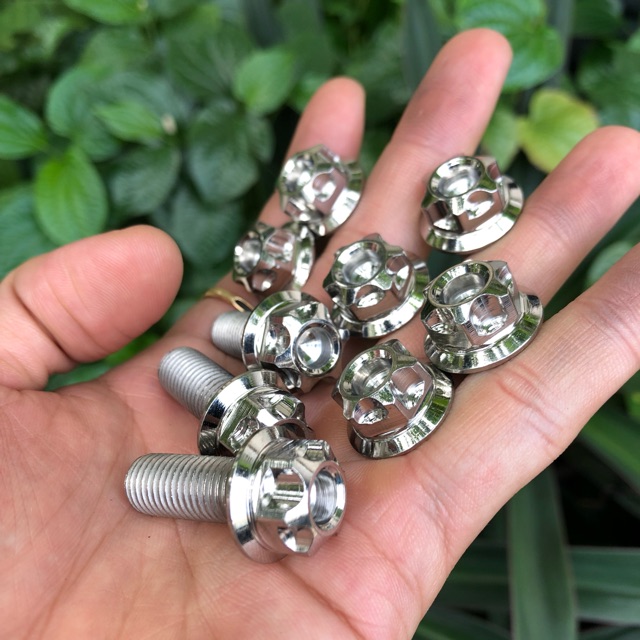 Ốc Salaza 8ly thái lạn bóng đẹp đủ size từ 1.5 - 6.0cm