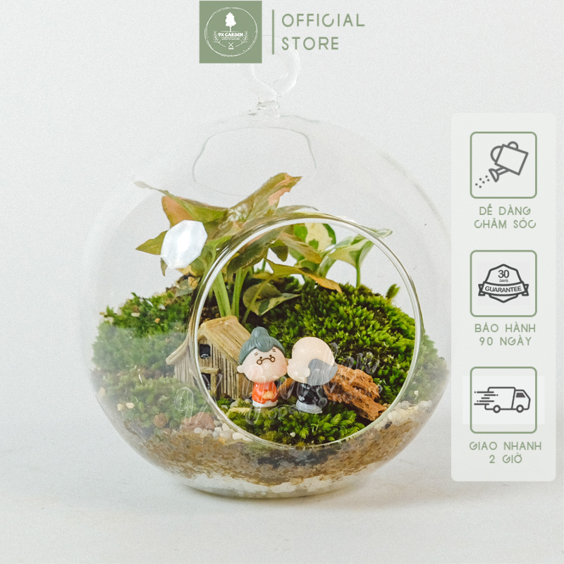 Grow old together 001 - tiểu cảnh để bàn terrarium - tiểu cảnh thủy tinh treo - quà tặng cao cấp - 9x garden