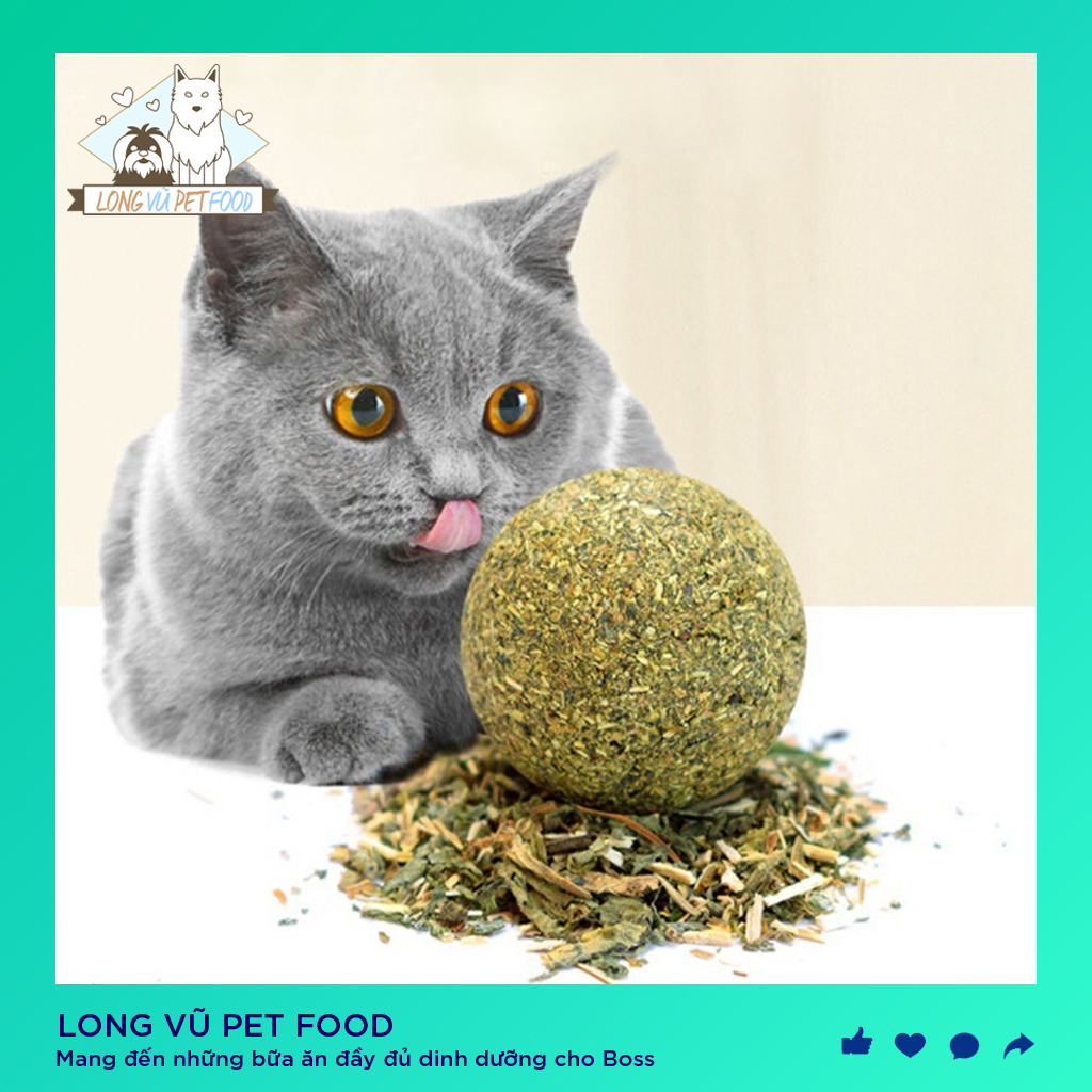 Quả Bóng Đồ Chơi Cho Mèo, Phủ Cỏ Bạc Hà, đồ chơi cho chó, đồ chơi cho mèo, đồ thú cưng - Long Vũ Pet Food