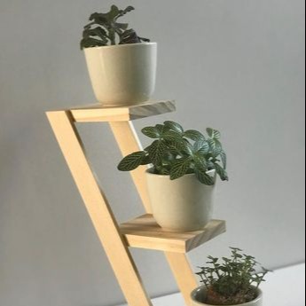 Kệ để sen đá, tiểu cảnh mini