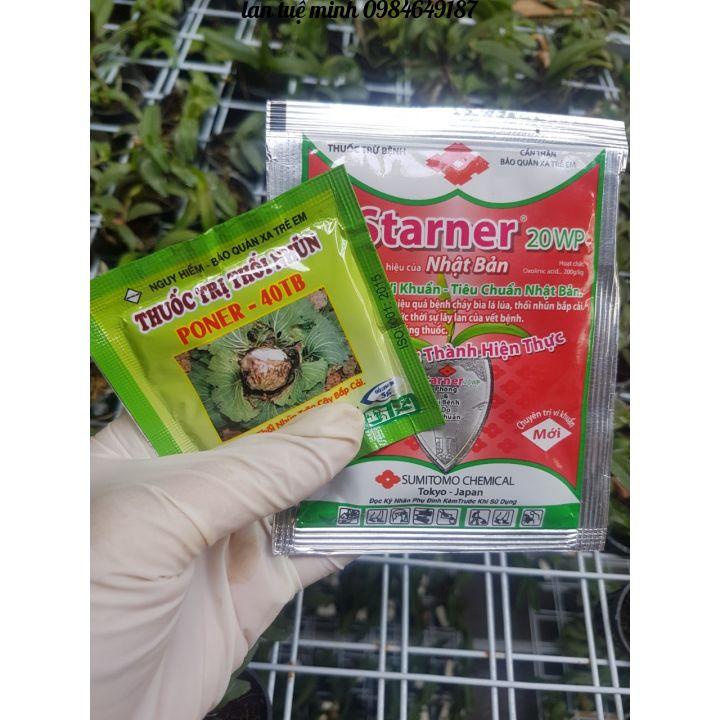 Bộ đặc trị thối nhũn cho lan gồm 2 sản phẩm Staner 20WP + Poner 40TB