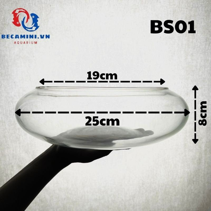 Bể cá mini - hồ cá tròn - bể cá bonsai thấp BS01 bonsai