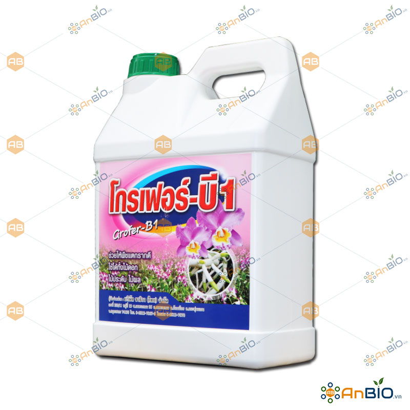 Grofer - B1 ( Vitamin B1 Thái Lan ) Can 5L - B3.1027
