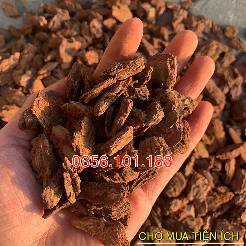 Vỏ thông trồng lan đã qua xử lý size vừa 1-2cm
