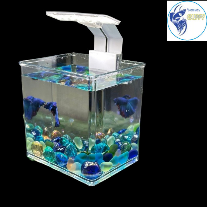 Hồ nhựa mini nuôi cá 15x12x15 - betta , guppy , cá thủy sinh - cao cấp siêu trong