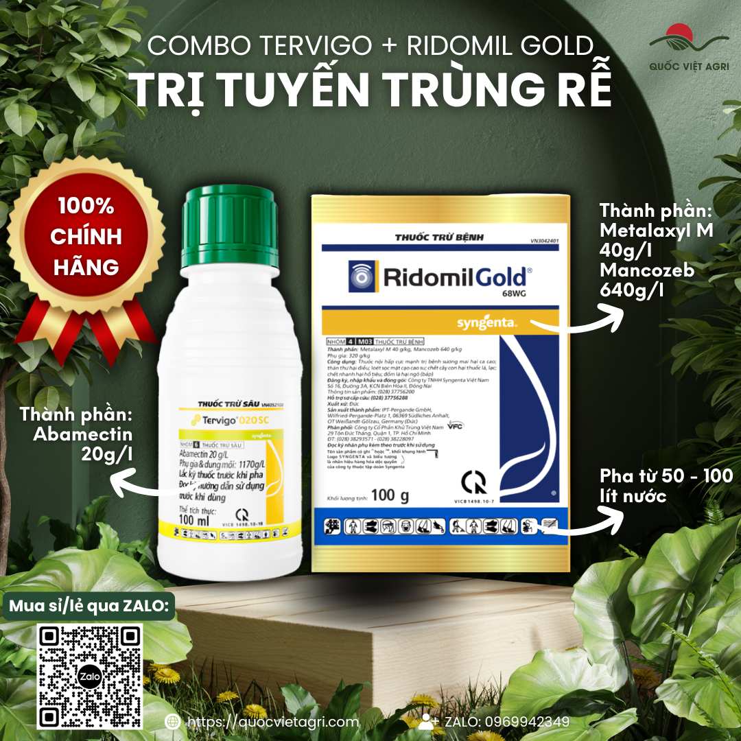 Combo Đặc trị tuyến trùng rễ 1 chai TERVIGO 020SC (100ml) + 1 gói RIDOMIL GOLD 68WG (100g) CHÍNH HÃNG SYNGENTA