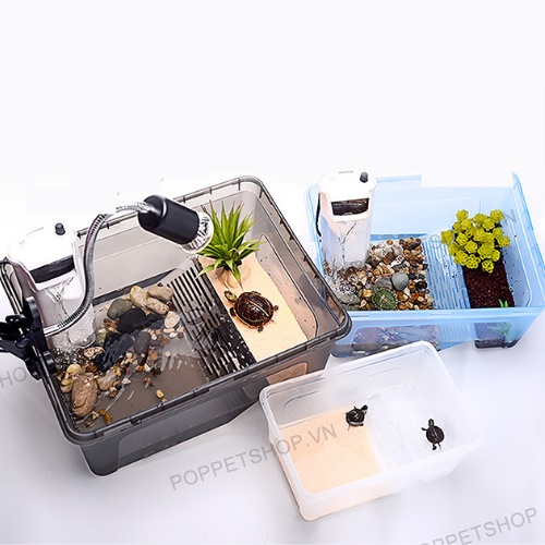 Hộp nuôi rùa nước - chậu nhựa nuôi rùa để bàn