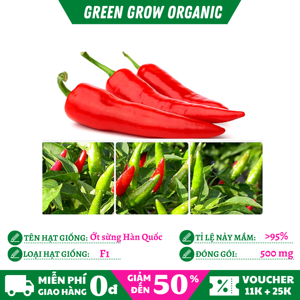 Hạt giống Ớt Hàn Quốc ớt sừng ít cay trái to bóng hạt giống rau MS181 GREEN GROW ORGANIC