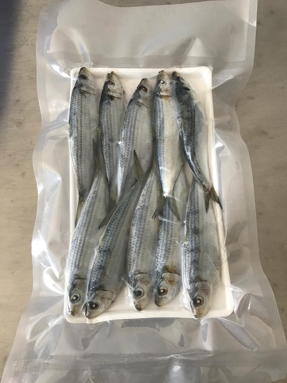 Cá Trích Nguyên Con Đông Lạnh 1kg