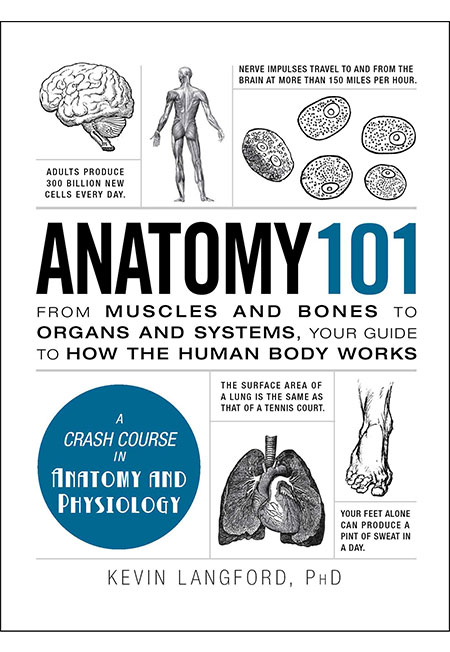 Sách - Anatomy 101 - Phương Nam Book