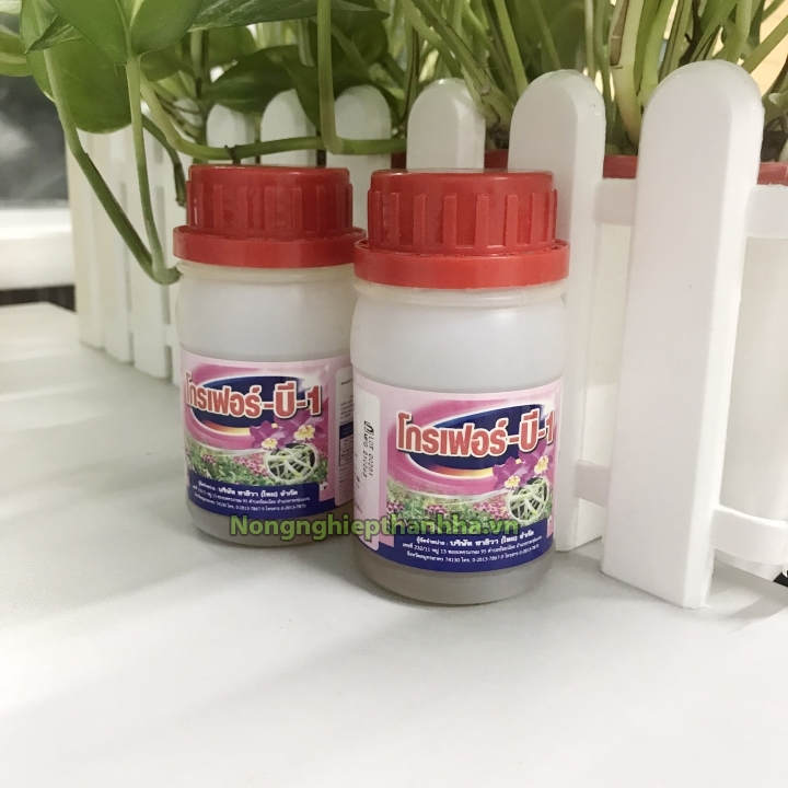 Phân bón Vitamin B1 Grofer Thái Lan dinh dưỡng cho cây - Lọ 100ml