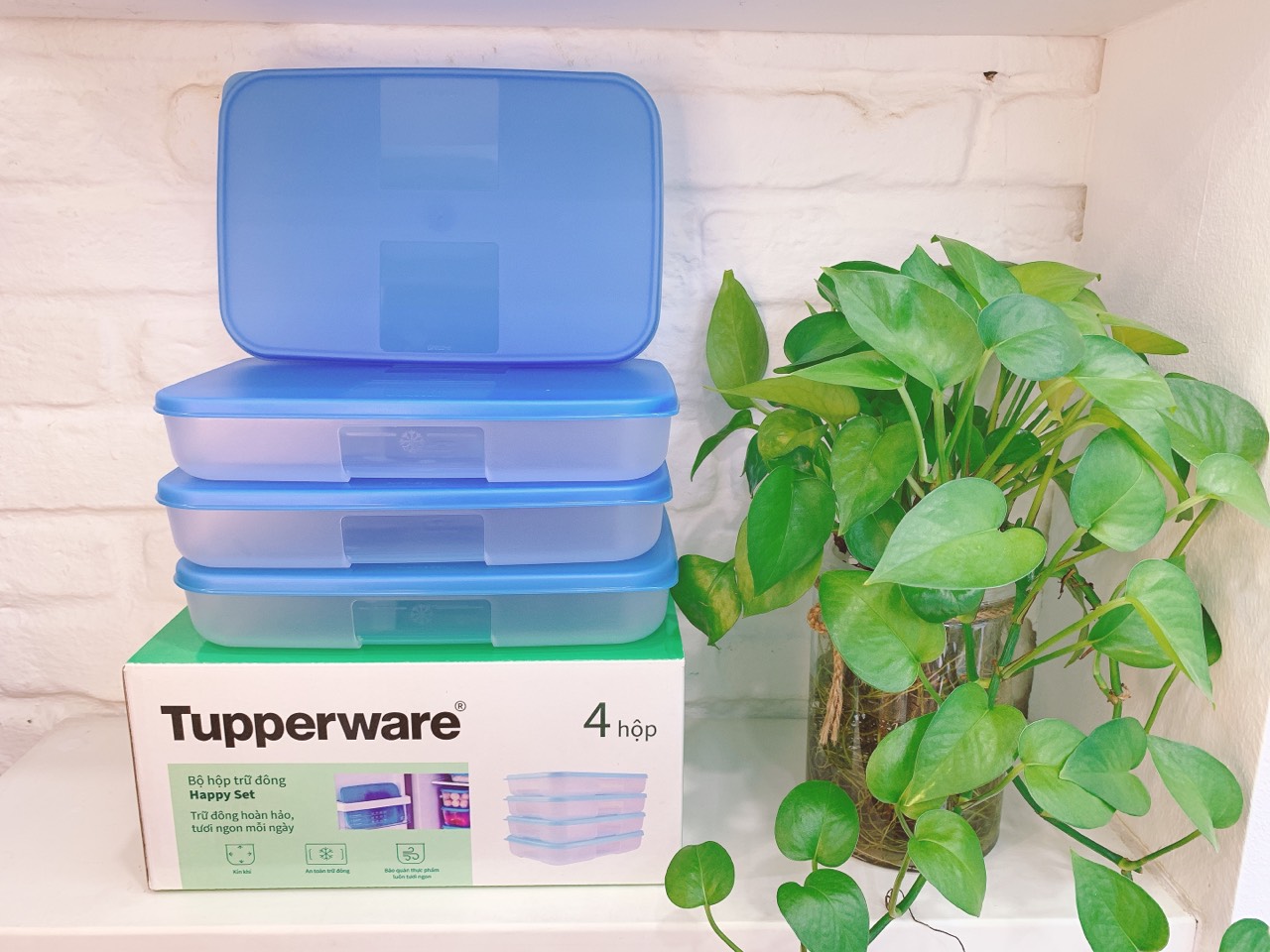 Bộ hộp trữ đông Happy Set 550ml Tupperware
