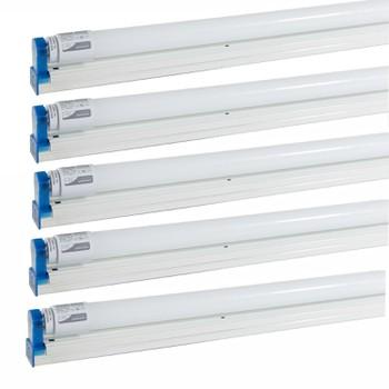5 Bộ đèn led tuýp 1m2 18W Rạng Đông