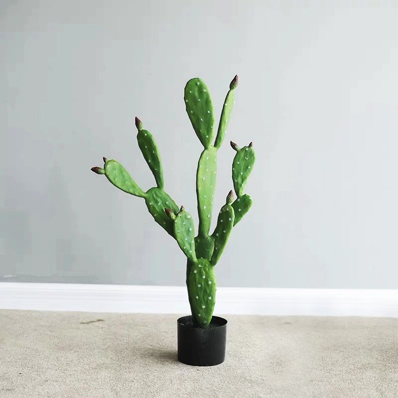 Xương rồng Lê gai loại lớn -Xương rồng tai thỏ Nopal