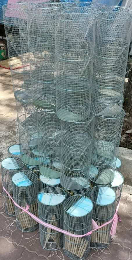 Lồng kẽm bẫy ếch