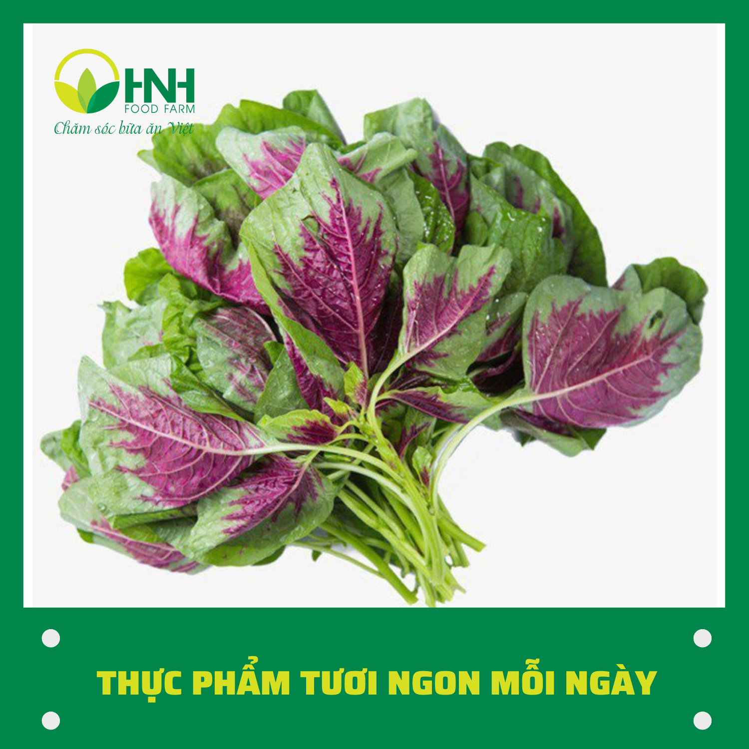 [CHỈ GIAO HÀ NỘI] Rau dền 1kg sạch ngon trợ giá mùa dịch - HNH Food Farm