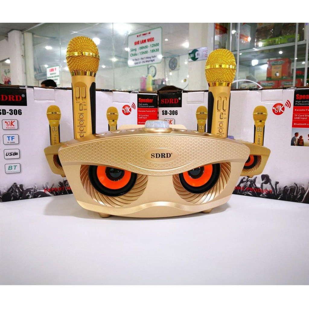 Loa bluetooth karaoke sdrd sd 306 plus cao cấp kèm 2 micro không dây - loa karaoke mini mắt cú sd306 plus