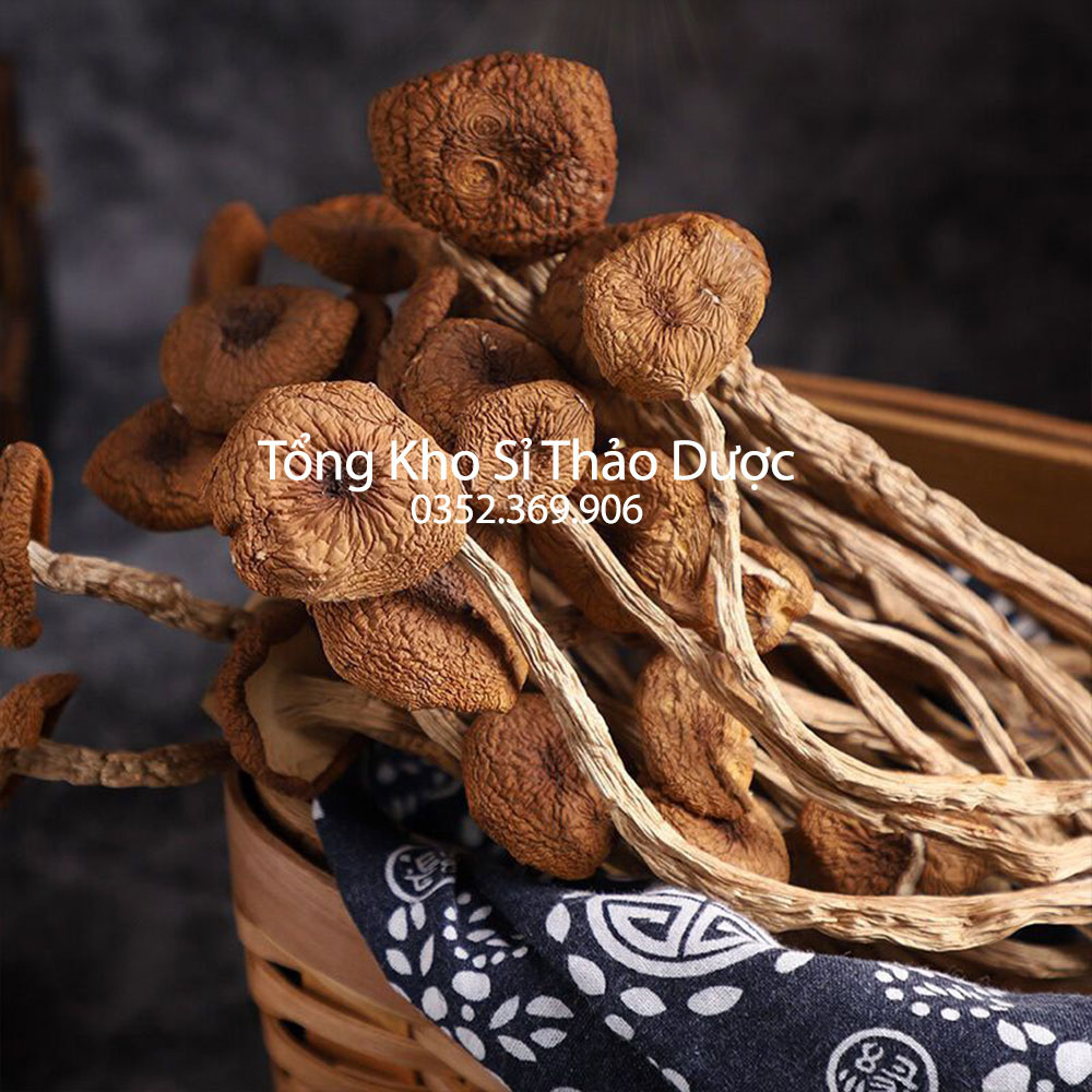 Nấm trà tân cao cấp 500g (Nguyên liệu nấm nấu canh, hầm bổ dưỡng)