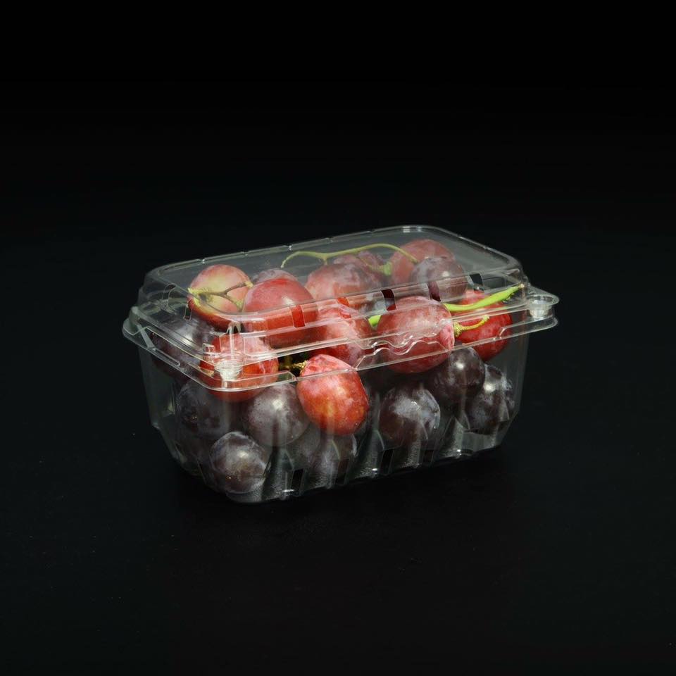 50 Hộp nhựa đựng Dâu - Nho - Chery (P500B-P500C-500g)