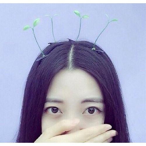 HCM - Kẹp tóc mầm cây Hàn quốc