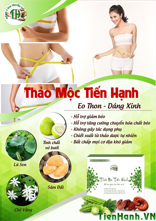 Kinh nghiệm thực tế từ người dùng