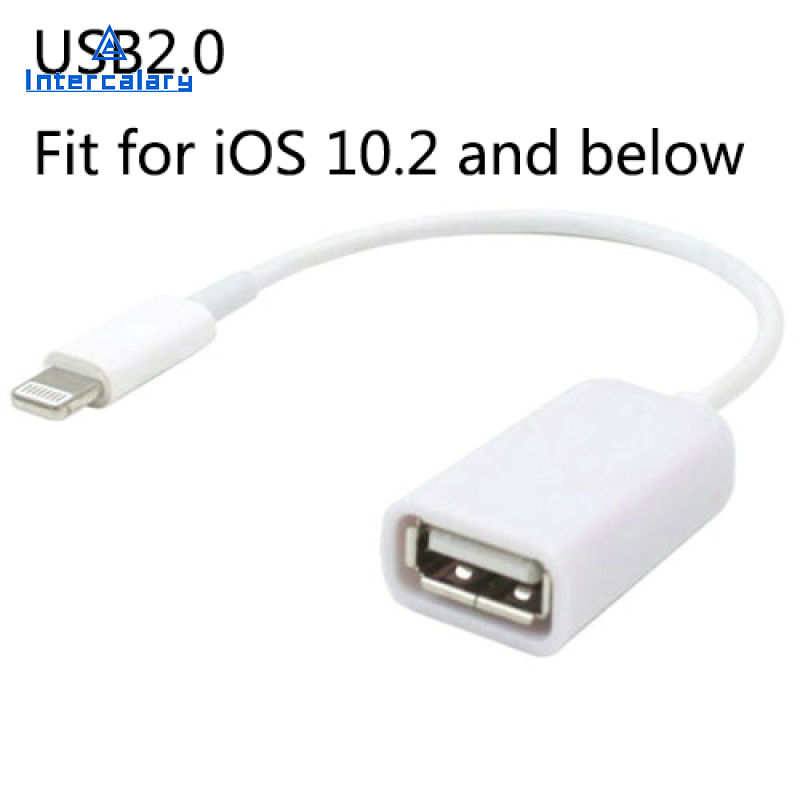 Bộ Chuyển Đổi Cáp Cáp Chuyển Đổi OTG Đầu Đực Sang USB Cái Cho Giao Diện Apple Dành Cho Apple iPhone 5 5S 6 6S Plus 7