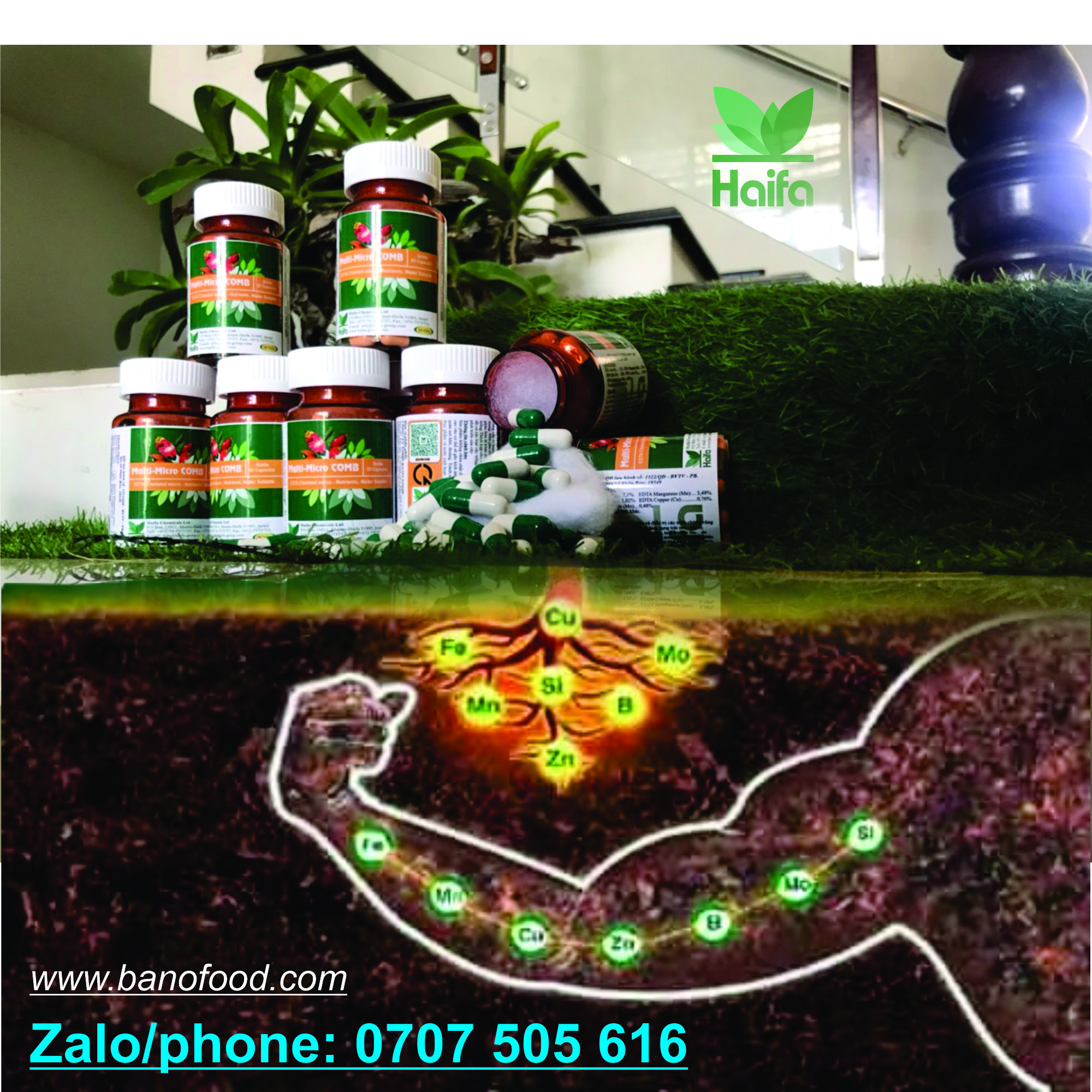 Haifa Multi Micro comb