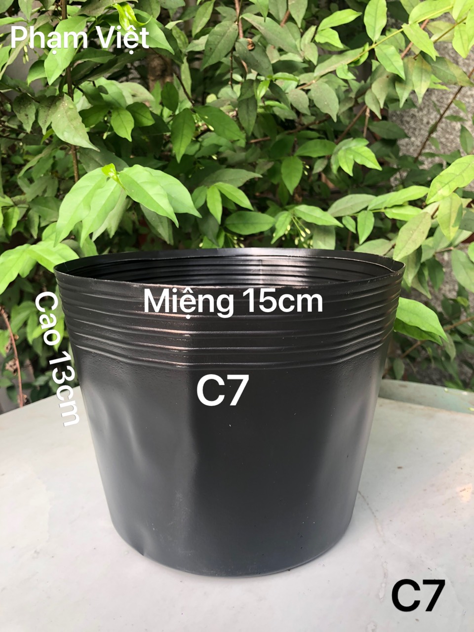 Chậu nhựa trồng hoa 100 cái C7 đen mềm dày dặn