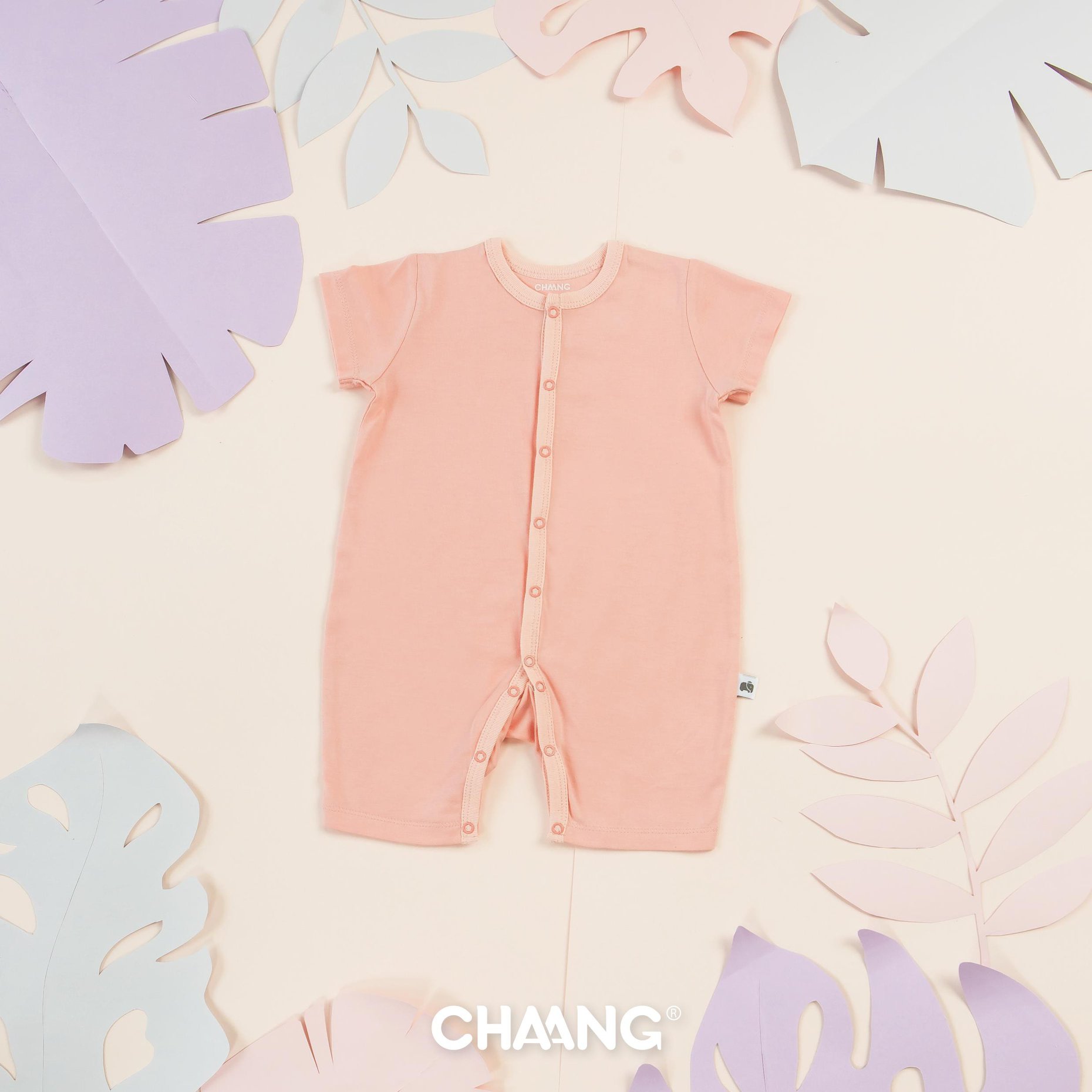Body cộc Chaang