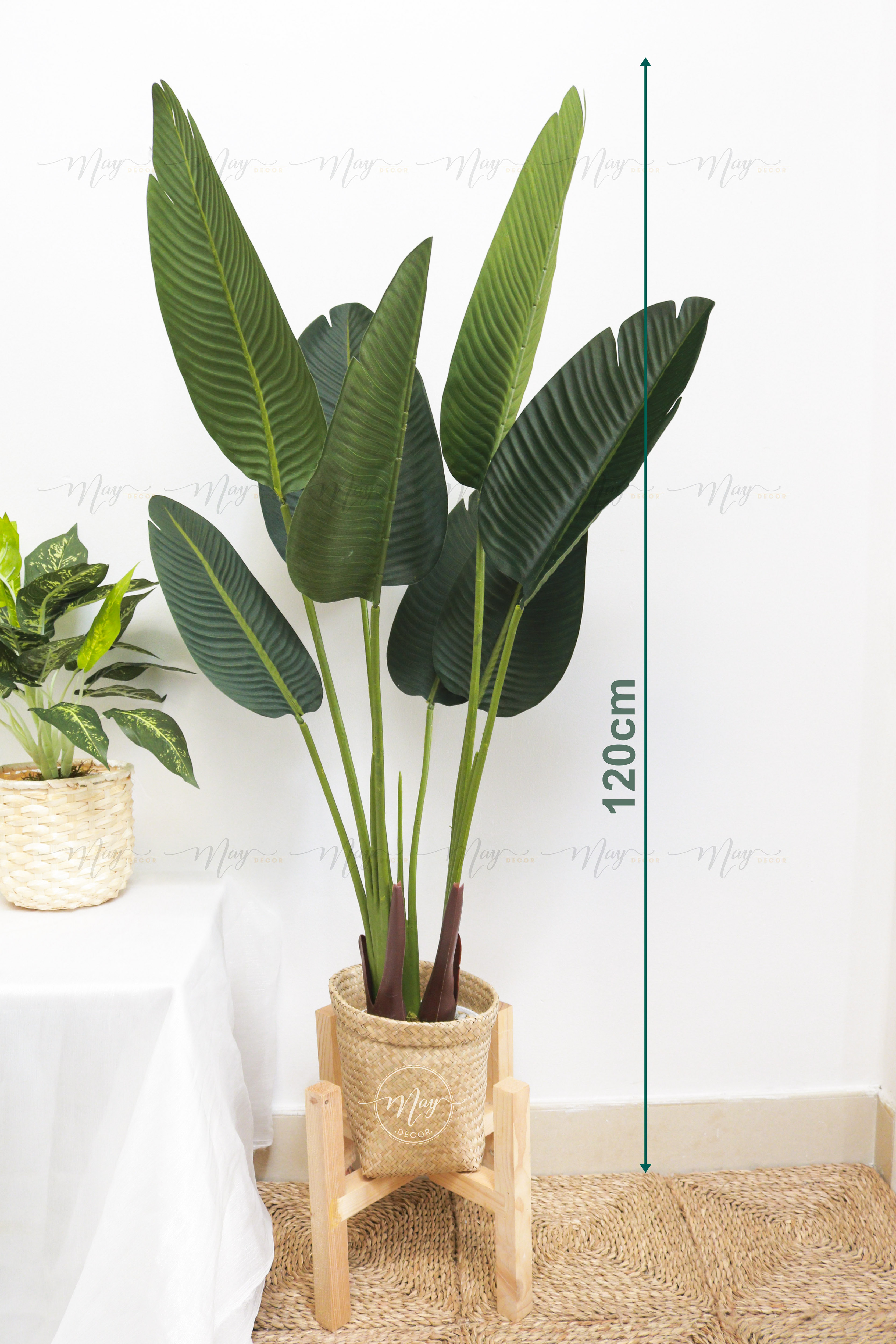 Cây chuối giả cảnh 1,2m, 1.6m, lá nhám sịn, kèm chậu. Trang trí nội thất, derco, phụ kiện chụp ảnh.