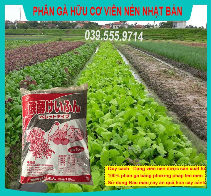 SIÊU SALE - PHÂN GÀ HỮU CƠ NHẬT BẢN 100G  CHUYÊN DÙNG CHO HOA RAU CỦ