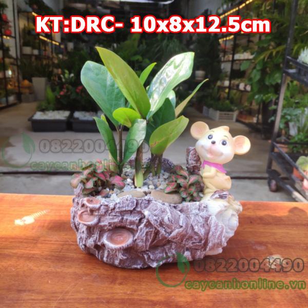Chậu chuột phát tài chậu trồng cây cảnh để bàn chất liệu composite cao cấp hình con chuột