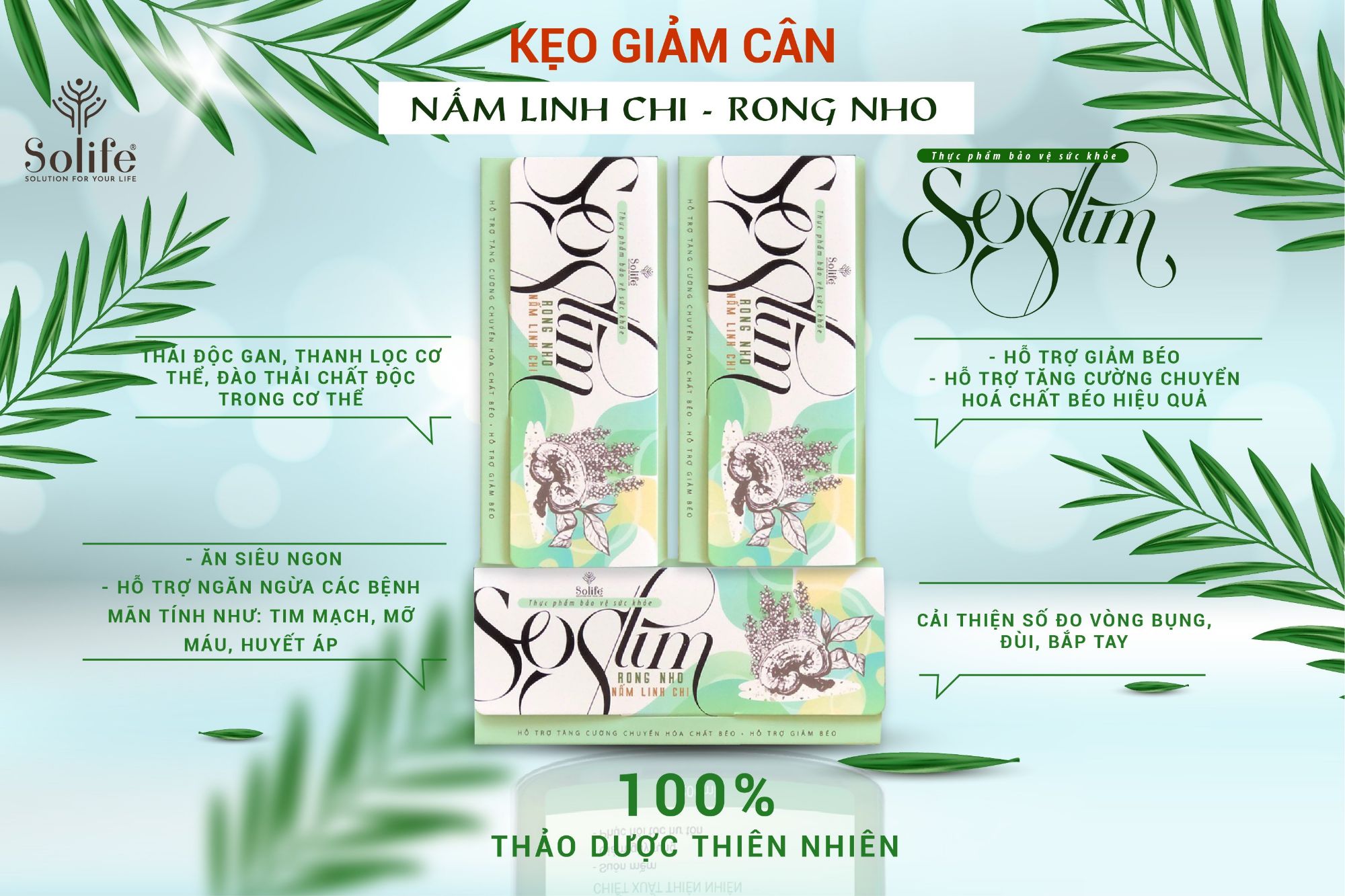 kẹo giảm cân Rong nho - Nấm linh chi Soslim