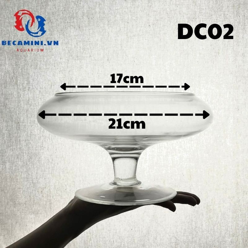 Bể cá để bàn -Bể Cá thủy Tinh Hồ Cá Mini Chậu Cây Có Chân - DC02