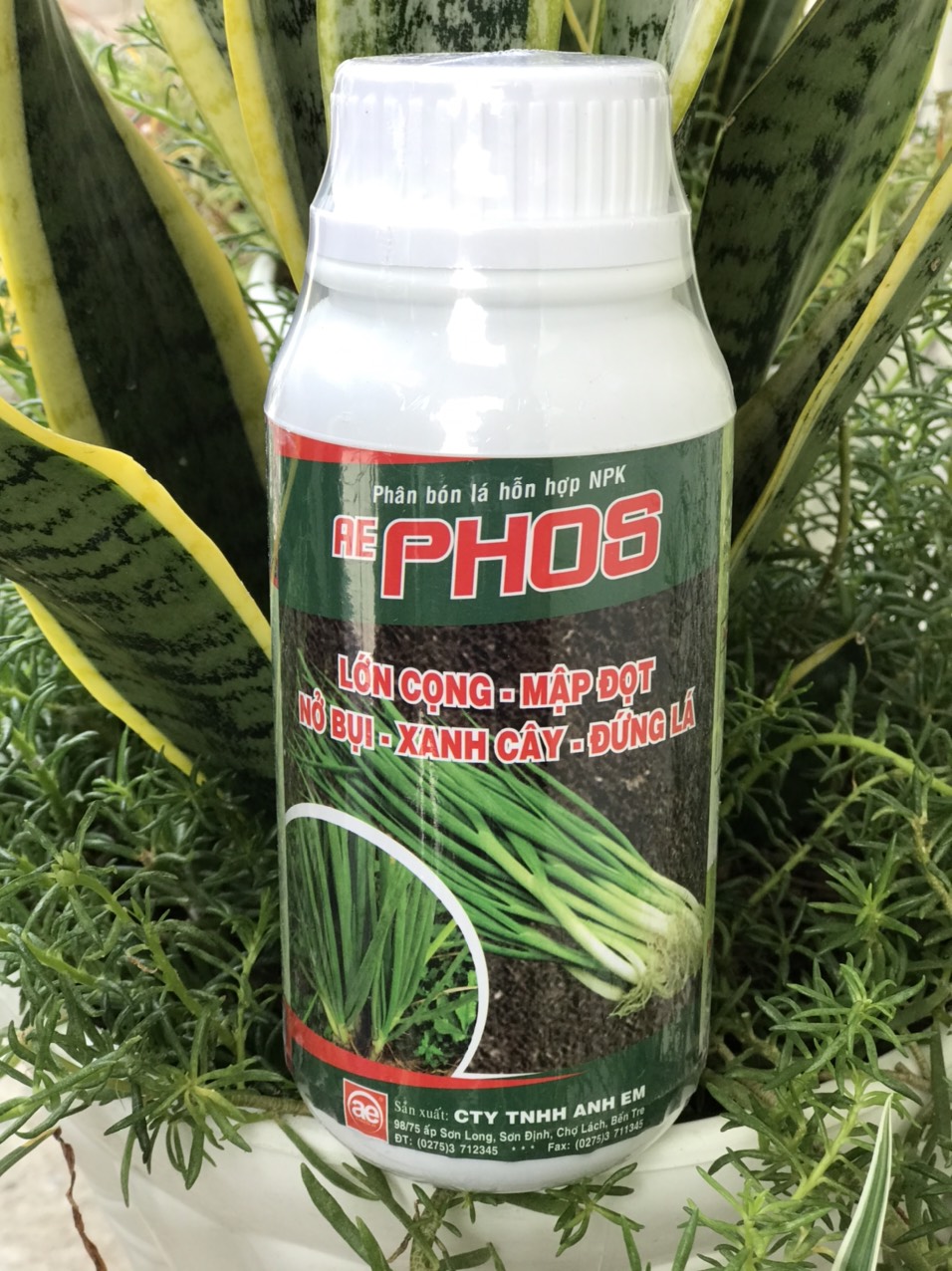 phân bón lá cao cấp nở bụi hành AE PHOS 500ml