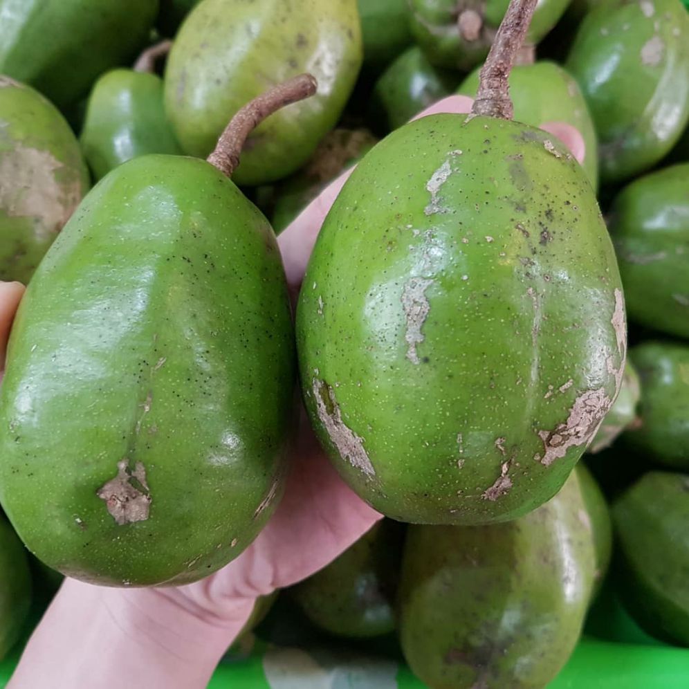 Cây giống cóc cầy, mặt hàng đang được săn đón, chất lượng sản phẩm đảm bảo và cam kết hàng đúng mô tả