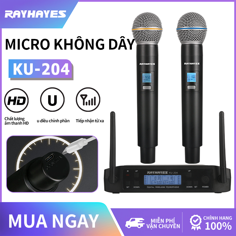 RAYHAYES Micro không dây kép điều chỉnh tần số UHF cho Videoke