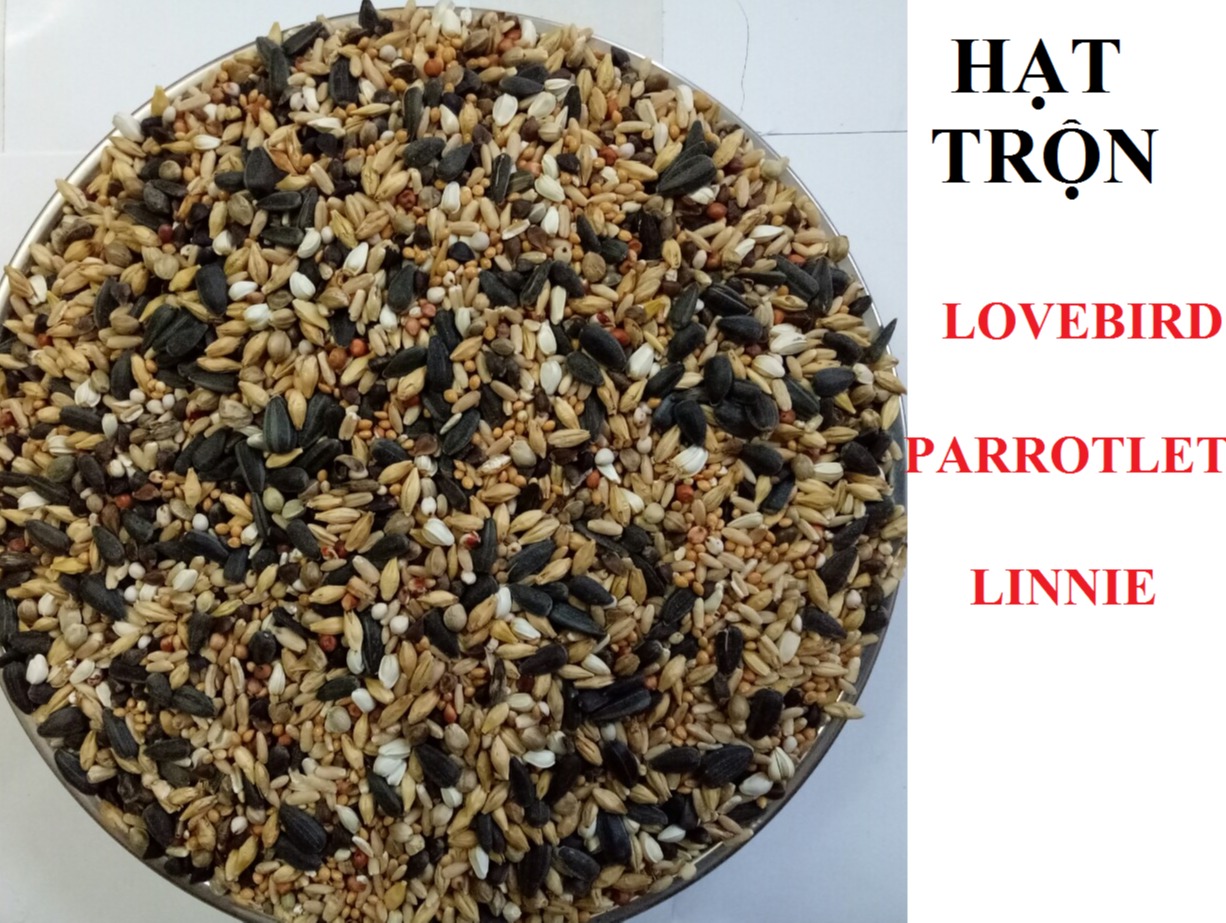 2kg hạt trộn gồm 9 loại hạt dành cho lovebird linnie parrotlet
