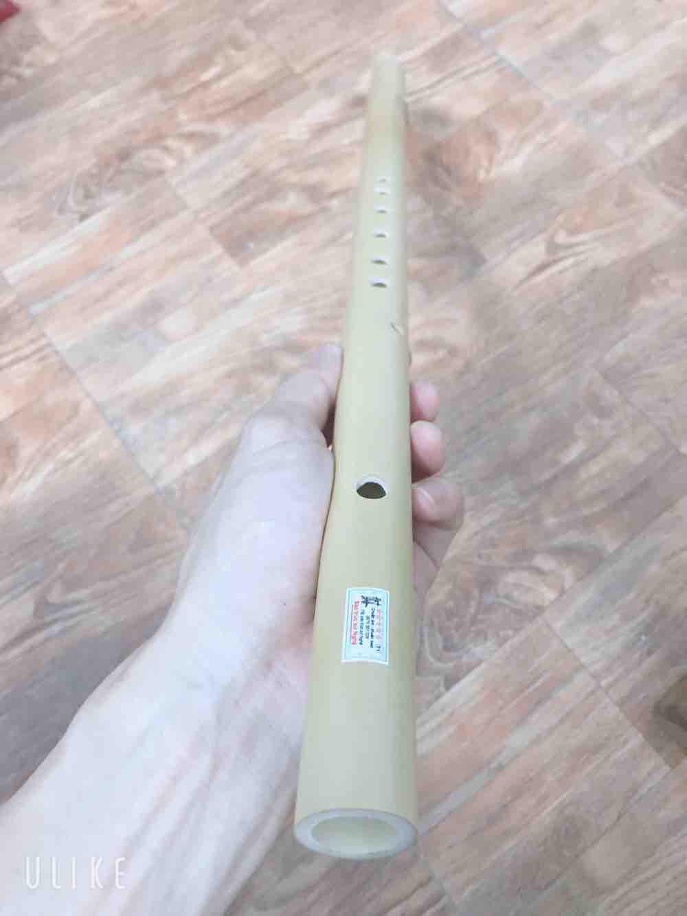 Sáo mèo nam tone đô chất lượng cao