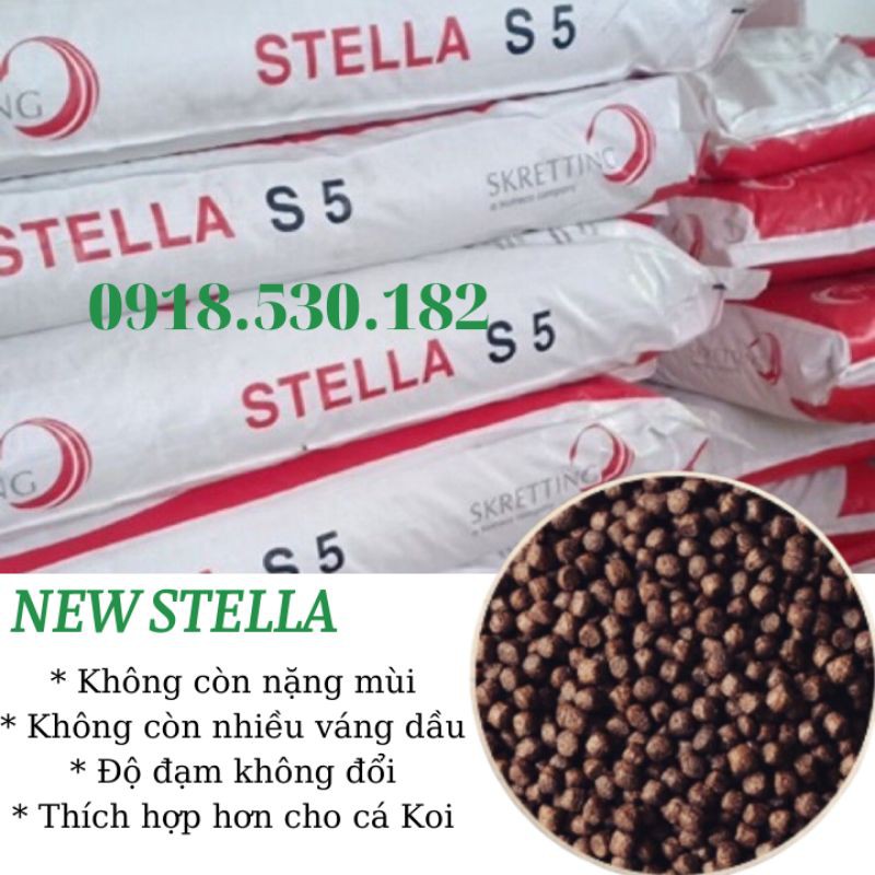 Cám cá koi Newstella 42% đạm, thức ăn cá koi, thức ăn cá vàng