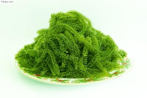 Rong nho tách nước 100g