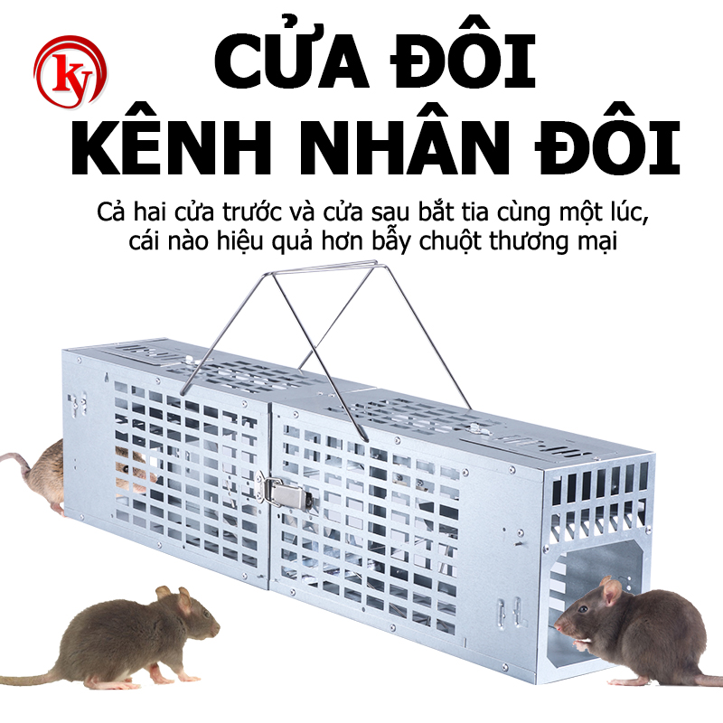 2021 Dụng cụ bẫy chuột thông minh-Bộ dụng cụ bắt chuột đa năng- Bẫy chuột thông minh không độc hại