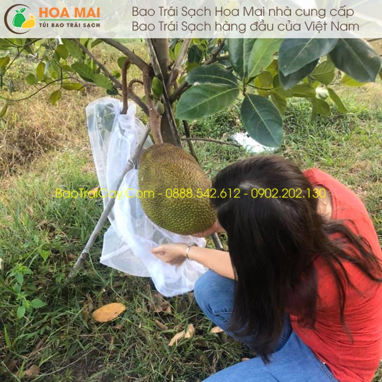 Bao mít lưới mùng trơn 50x70cm