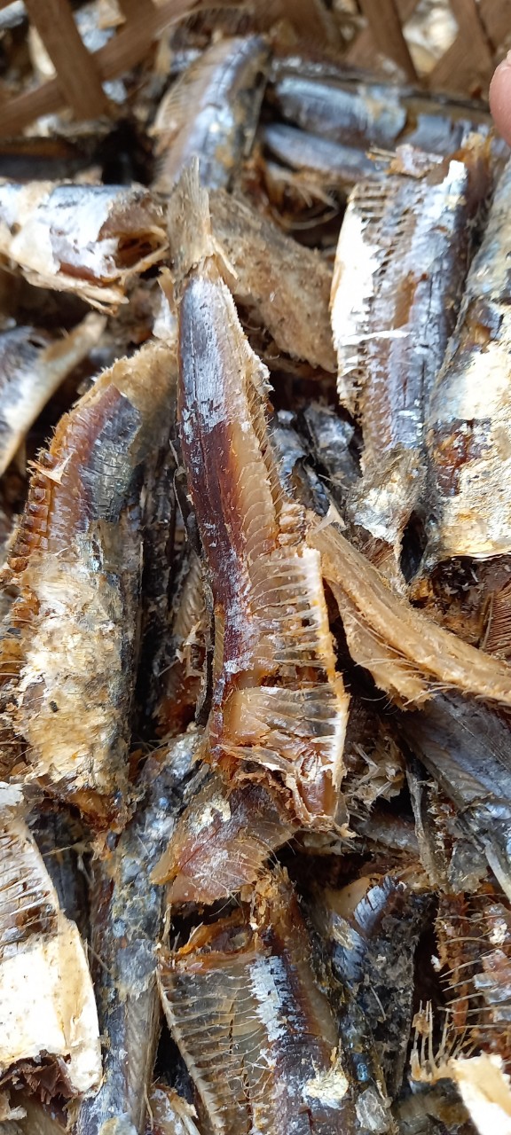1Kg Khô cá trích bùi ngọt thịt đã bóc sạch vỏ_Đặc sản xứ Nghệ